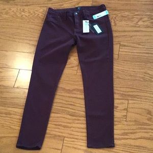 NWT Stitch Fix Just Black Addison Skinny Jean in Burgundy size 30